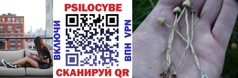 Галлюциногенные грибы ЛСД Видное