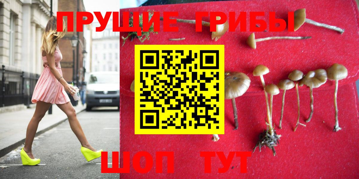 продажа наркотиков  Галлюциногенные грибы MAGIC MUSHROOMS  Вход с VPN  Галлюциногенные грибы GOLDEN TEACHER  Видное 